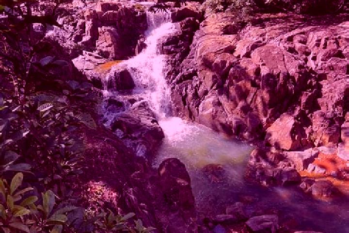 Iris, 35 — Escort in Cerro Azul, Panama