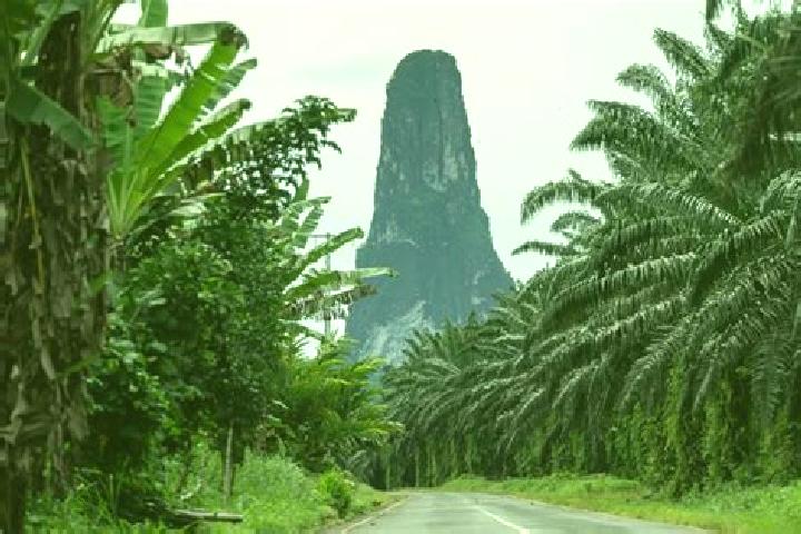 Iris, 35 — Escort in Margarida Manuel, Sao Tome and Principe