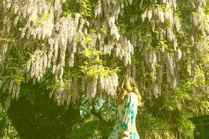 Iris, 35 — Escort in Schitu Poienari, Romania