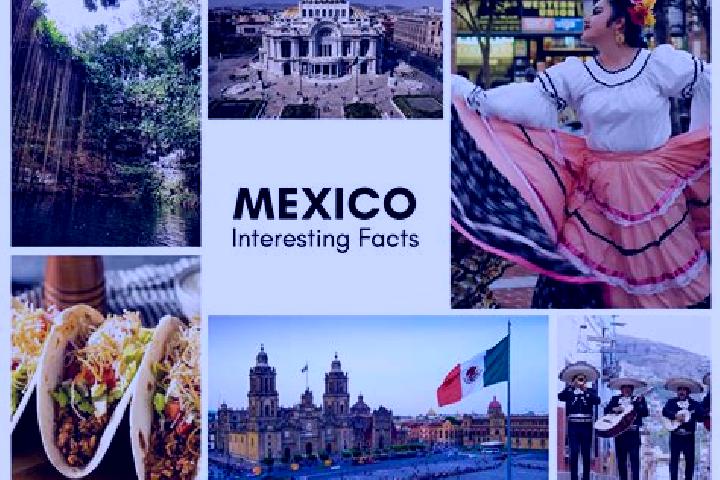 Iris, 35 — Escort in Sebastopol, Mexico