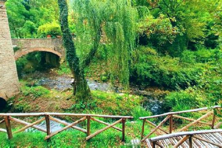 Iris, 35 — Escort in Serravalle di Chienti, Italy