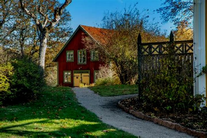 Iris, 35 — Escort in Skruv, Sweden