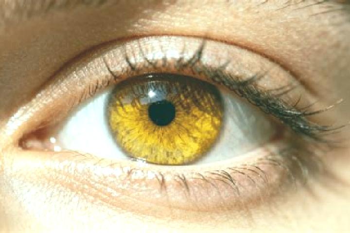 Iris, 36, a dark blonde amber-eyed caucasian companion based in Huehuetecpan. Offering Overnight, CIM, OWO. Available for incall and outcall, overnight booki...