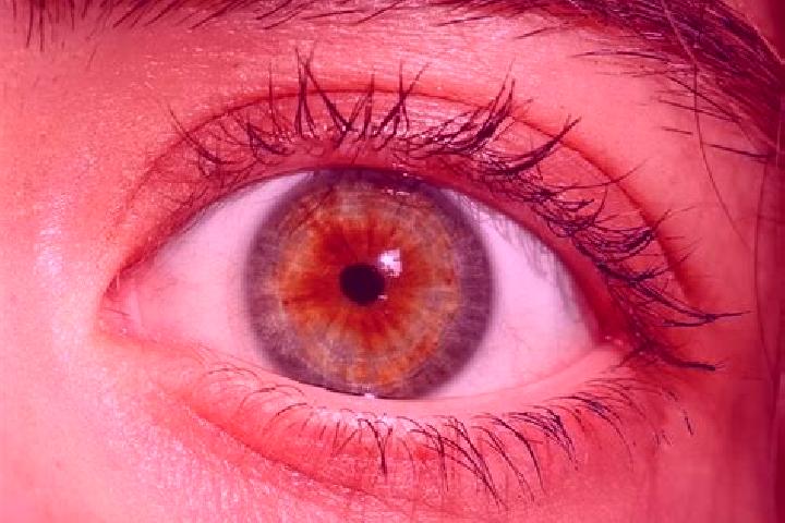 Iris, 36, a red hazel-eyed latina companion based in Indianopolis. Offering Fetish, Deep French Kissing, Tantra, CIM, Roleplay. Available for incall and outc...