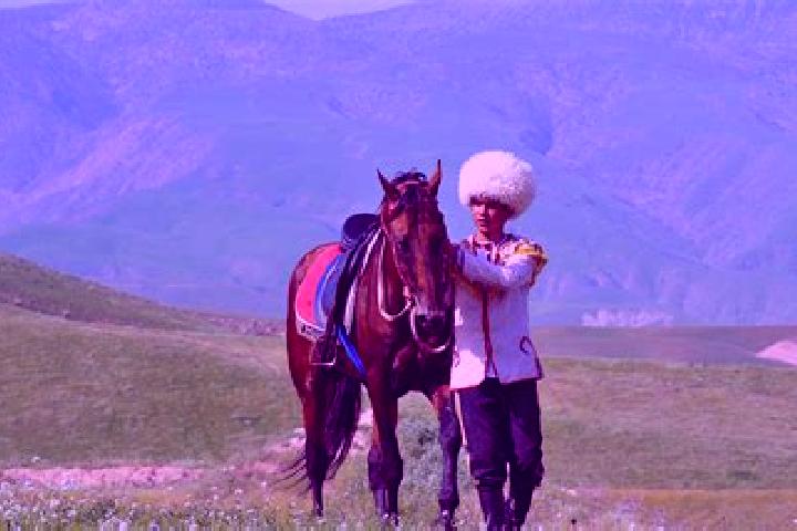Iris, 36 — Escort in Arcabil, Turkmenistan
