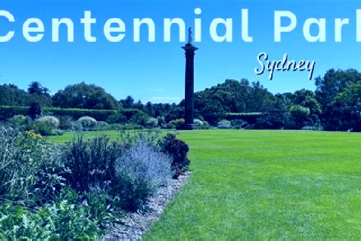 Iris, 36 — Escort in Centennial Park, Australia