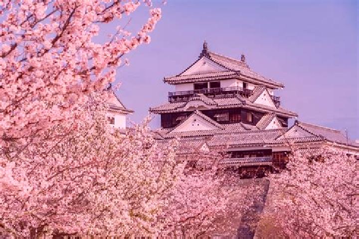 Iris, 36 — Escort in Higashi-Matsuyama, Japan