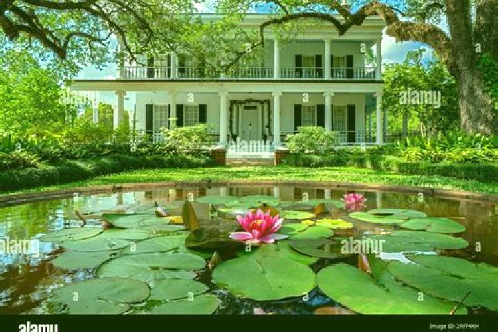 Iris, 36 — Escort in Oakleaf Plantation, United States