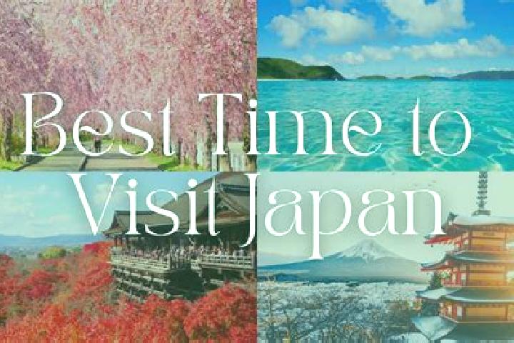 Iris, 36 — Escort in Okuchi-shinohara, Japan