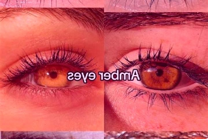 Iris, 37, a chestnut amber-eyed caucasian companion based in Pfungstadt. Offering Overnight, Roleplay, Party Girl. Available for incall and outcall, day and ...