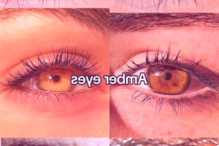 Iris, 37, a chestnut amber-eyed middle eastern companion based in Xicang. Offering GFE, Travel Companion, Tantra, Roleplay, Girlfriend Experience. Available ...