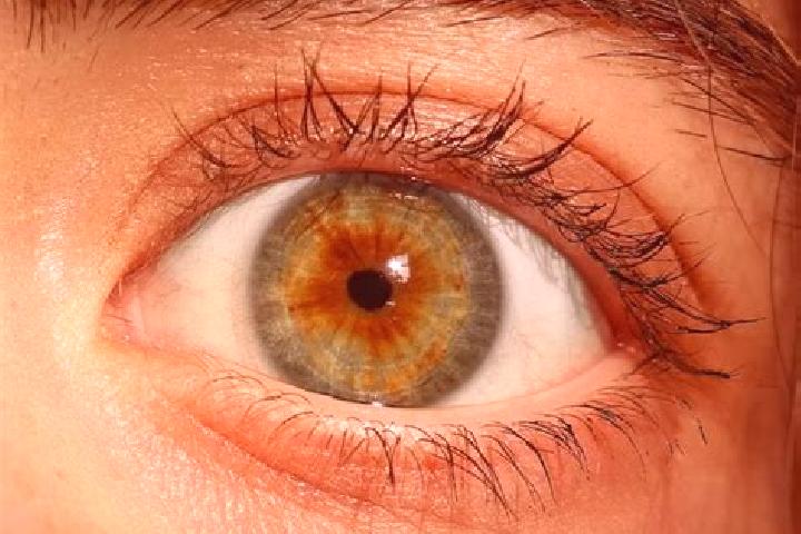 Iris, 37, a red hazel-eyed mediterranean companion based in Twin Lakes. Offering Couples, Overnight, Travel Companion, OWO. Available for incall and outcall,...