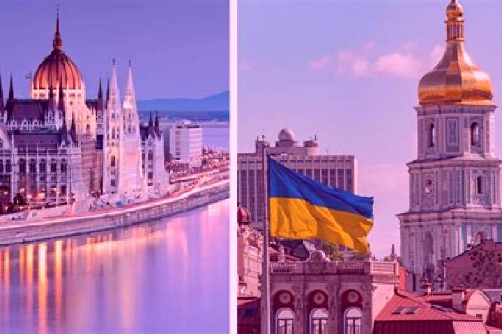 Iris, 37 — Escort in Avdiyivske, Ukraine