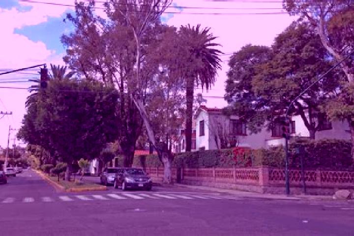 Iris, 37 — Escort in Colonia Anahuac, Mexico