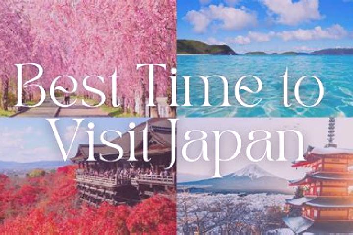Iris, 37 — Escort in Kasama, Japan