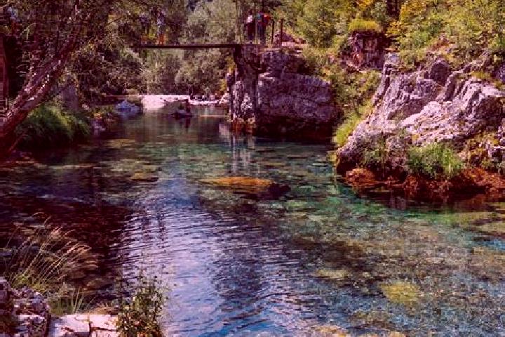 Iris, 37 — Escort in Lekbibaj, Albania