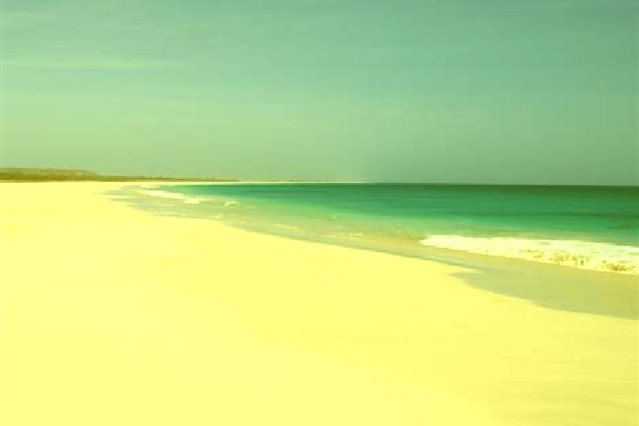 Iris, 37 — Escort in Ponta da Achada, Cape Verde