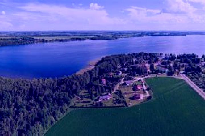 Iris, 37 — Escort in Puka, Estonia