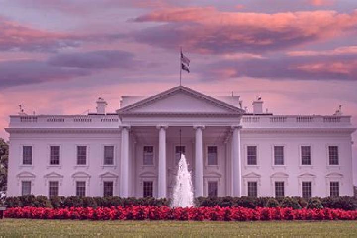Iris, 37 — Escort in White House, United States