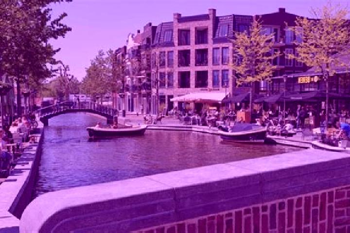 Iris, 38 — Escort in Alphen aan den Rijn, Netherlands