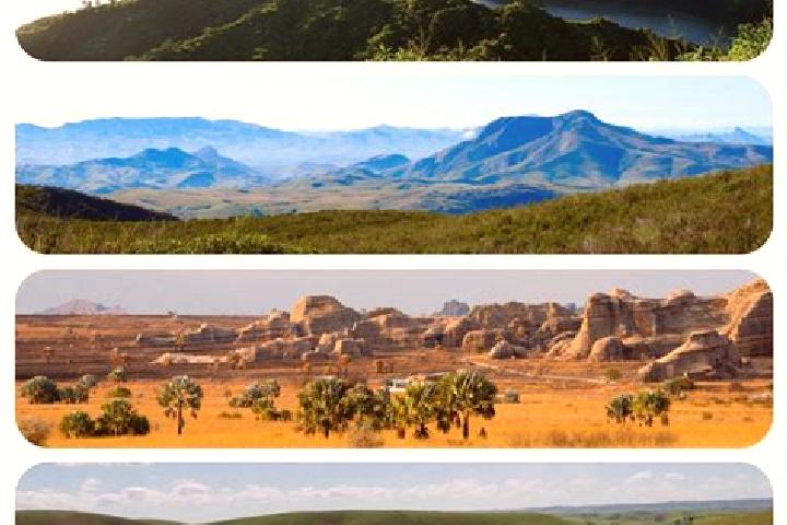 Iris, 38 — Escort in Arivonimamo, Madagascar