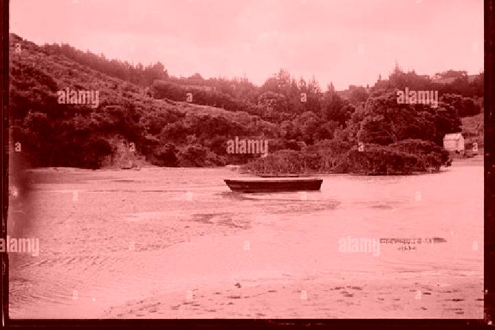 Iris, 38 — Escort in Blockhouse Bay, New Zealand