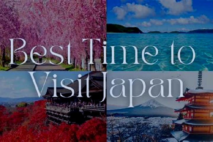 Iris, 38 — Escort in Kosuge, Japan
