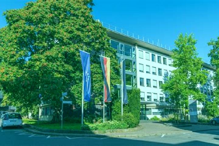 Iris, 38 — Escort in Leingarten, Germany
