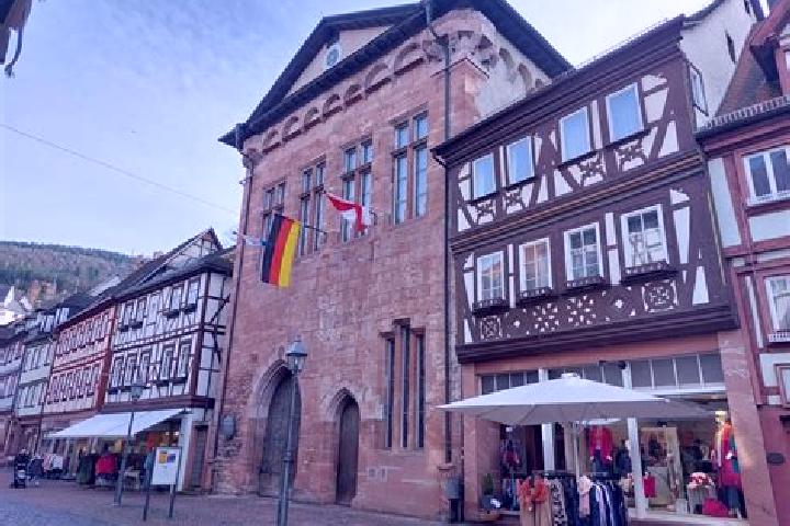 Iris, 38 — Escort in Miltenberg, Germany