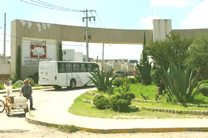 Iris, 38 — Escort in Paseos de la Pradera, Mexico