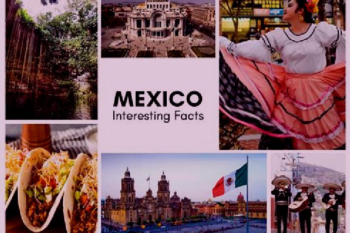 Iris, 38 — Escort in Zihuateutla, Mexico