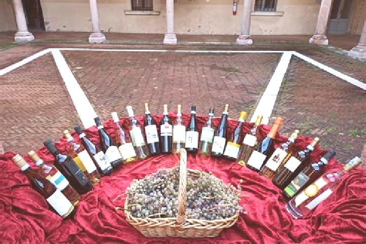 Iris, 38 — Escort in Zugliano, Italy