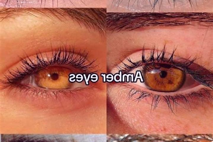 Iris, 39, a chestnut amber-eyed middle eastern companion based in Asgharabad. Offering Couples, Striptease, Deep French Kissing. Available for incall and out...