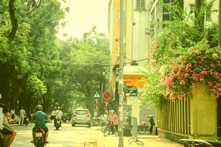 Iris, 39 — Escort in Bang Lung, Vietnam