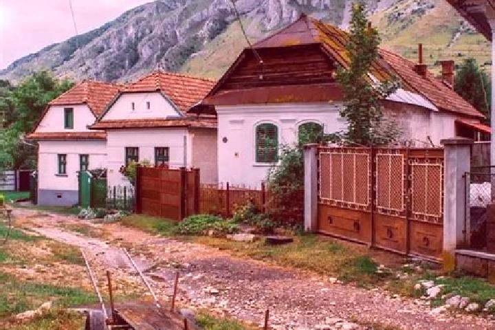 Iris, 39 — Escort in Bata, Romania
