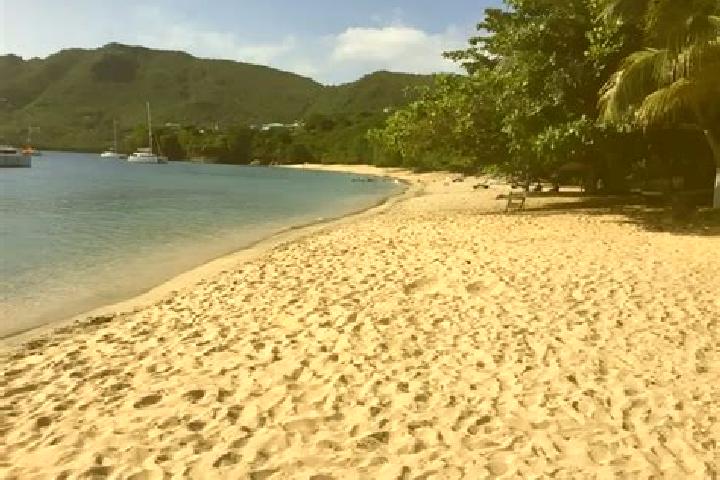Iris, 39 — Escort in Diamond, Saint Vincent and the Grenadines