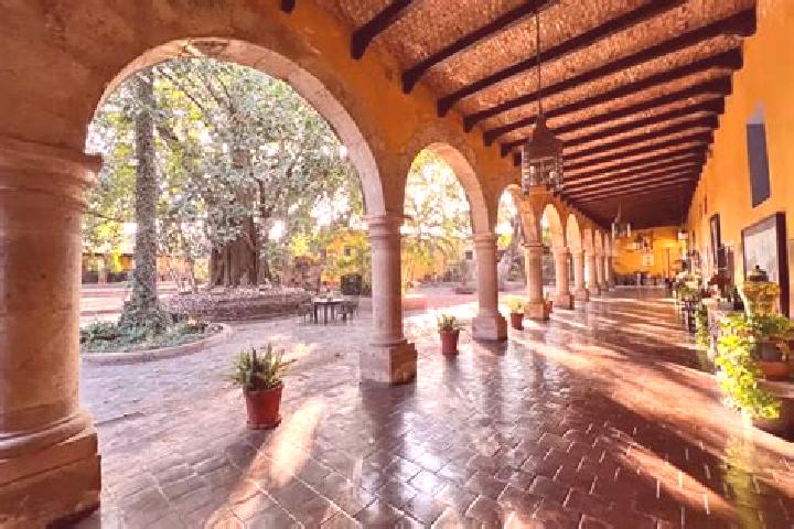 Iris, 39 — Escort in Jalmolonga (La Hacienda), Mexico