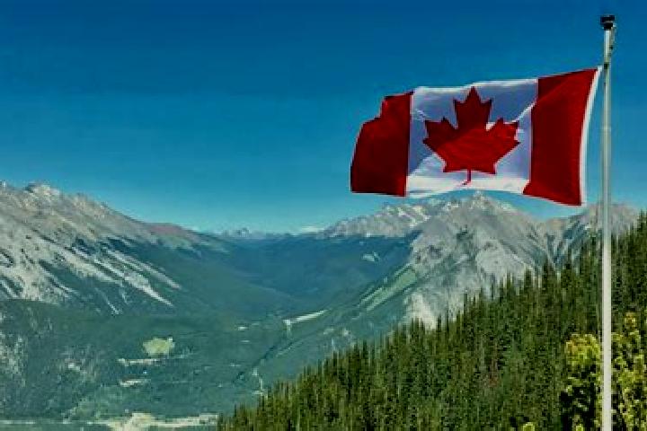 Iris, 39 — Escort in King, Canada