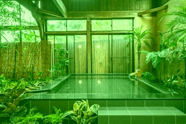 Iris, 39 — Escort in Kyotango, Japan