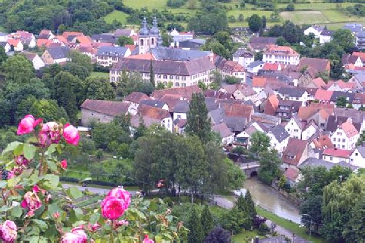 Iris, 39 — Escort in Lauda-Konigshofen, Germany