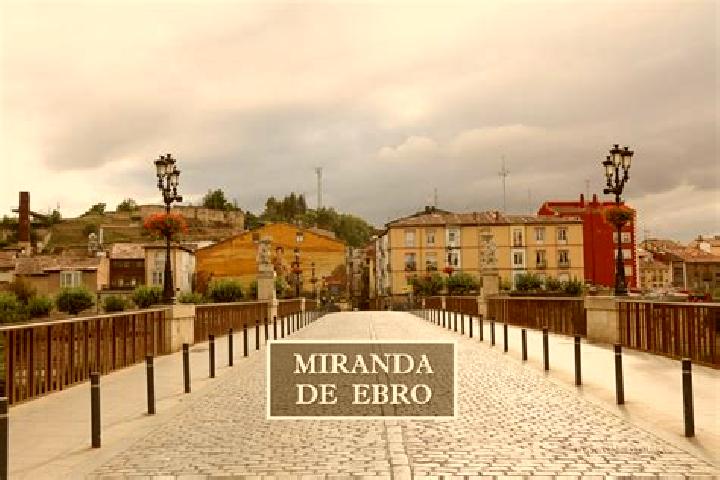 Iris, 39 — Escort in Miranda de Ebro, Spain