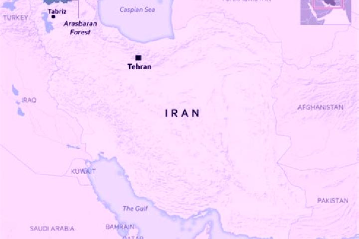 Iris, 39 — Escort in Mollasani, Iran