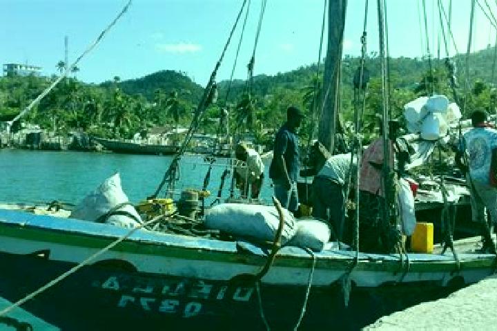 Iris, 39 — Escort in Roche-a-Bateau, Haiti