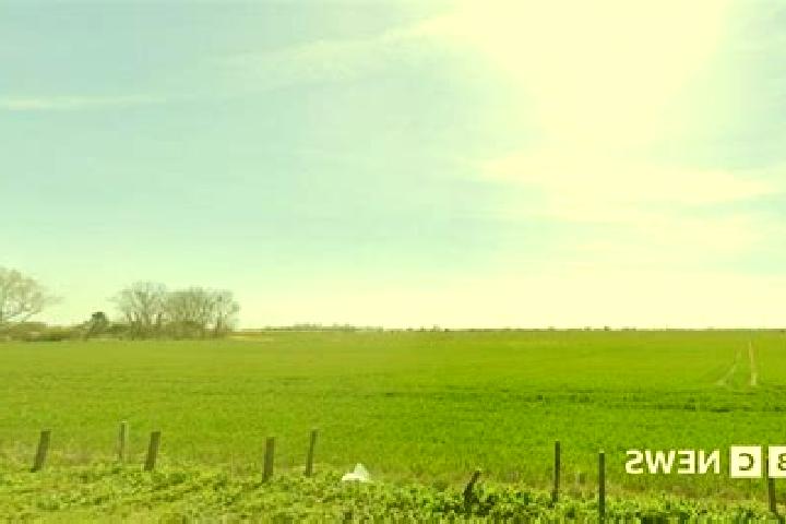 Iris, 39 — Escort in Romney Marsh, United Kingdom