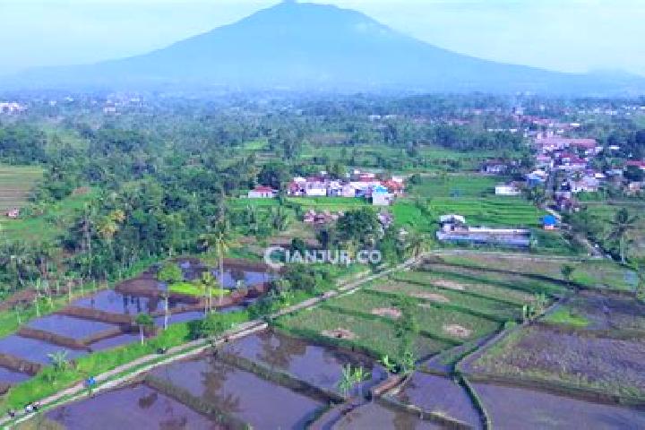 Iris, 39 — Escort in Sukamantri Satu, Indonesia