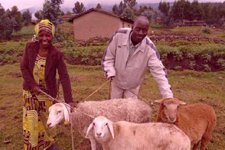 Iris, 39 — Escort in Timau, Kenya