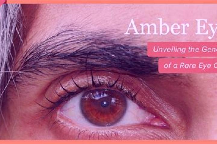 Isabella, 20, a red amber-eyed indian companion based in Murtajapur. Offering OWO, BDSM, Travel Companion, Striptease. Available for incall and outcall, day ...