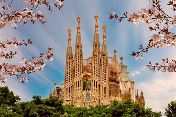 Isabella, 20, a red hazel-eyed asian companion based in Sagrada Familia. Offering 69, Duos, Girlfriend Experience. Available for incall and outcall, day and ...