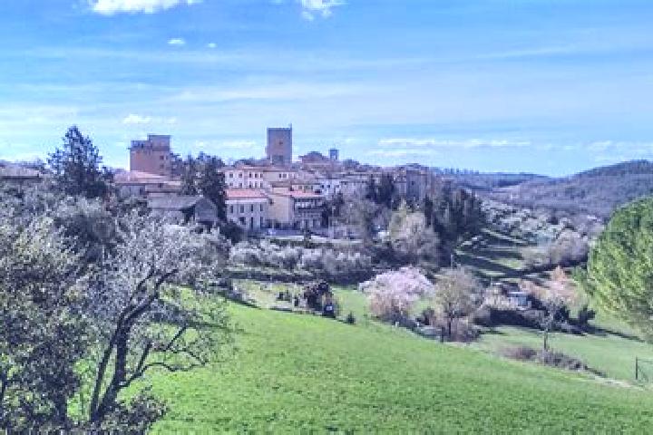 Isabella, 20 — Escort in Castellina Scalo, Italy