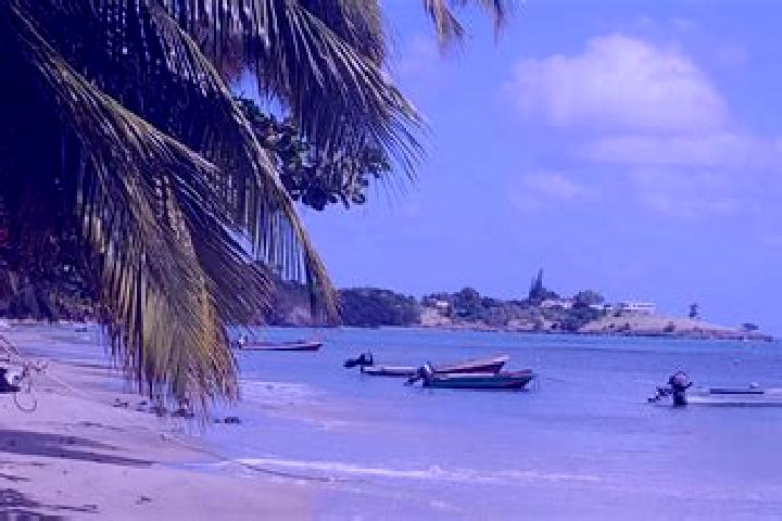 Isabella, 20 — Escort in Laborie, Saint Lucia